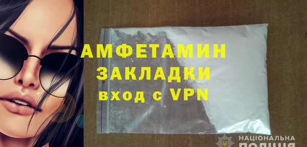 ПСИЛОЦИБИНОВЫЕ ГРИБЫ Дмитриев