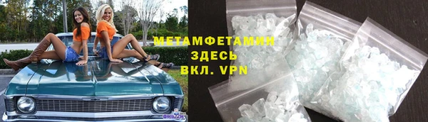 ПСИЛОЦИБИНОВЫЕ ГРИБЫ Дмитриев