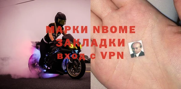 ПСИЛОЦИБИНОВЫЕ ГРИБЫ Дмитриев