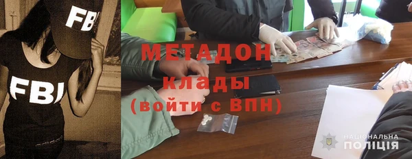 ПСИЛОЦИБИНОВЫЕ ГРИБЫ Дмитриев