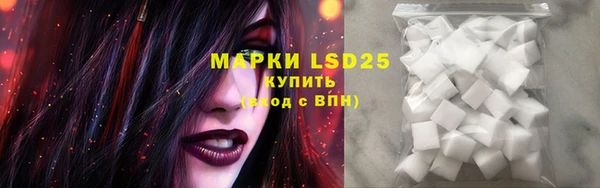 ПСИЛОЦИБИНОВЫЕ ГРИБЫ Дмитриев
