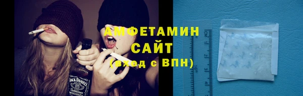 ПСИЛОЦИБИНОВЫЕ ГРИБЫ Дмитриев