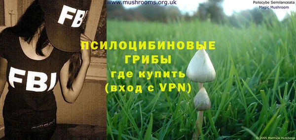 ПСИЛОЦИБИНОВЫЕ ГРИБЫ Дмитриев