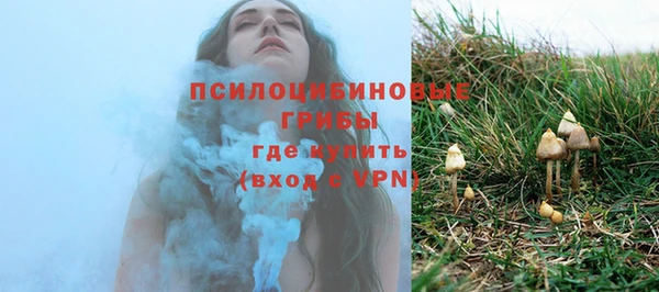 ПСИЛОЦИБИНОВЫЕ ГРИБЫ Дмитриев