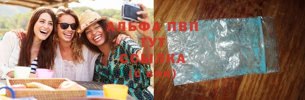 ПСИЛОЦИБИНОВЫЕ ГРИБЫ Дмитриев