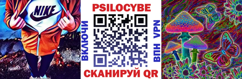 Псилоцибиновые грибы прущие грибы  Чистополь 